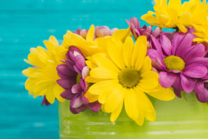 close-up-decorative-yellow-purple-flowers